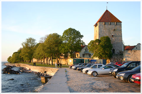 Gotland, Torn i  Visby ringmur - foto: Bernt Enderborg