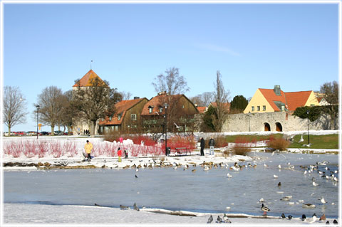 Gotland, Visby sevärdheter - foto: Bernt Enderborg