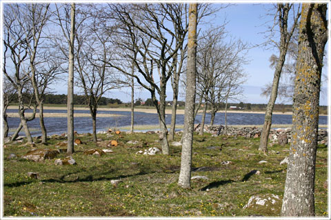 Vendeltida skeppsvarv vid Paviken p Gotland