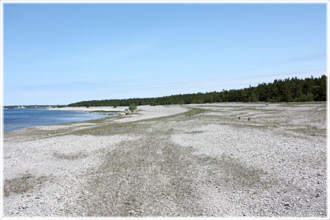 Gotland, Grodde naturreservat - foto: Bernt Enderborg
