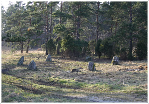 Gotland, Domarringen vid Sojvide i Sjonhem - foto: Bernt Enderborg