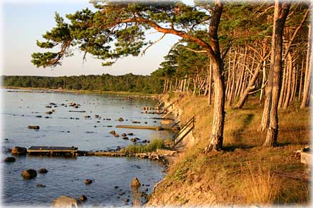 Gotland, En sträcka kust - foto: Bernt Enderborg