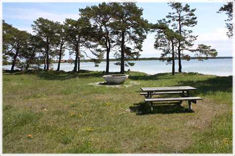 Gotland, Bästeträsk - foto: Bernt Enderborg