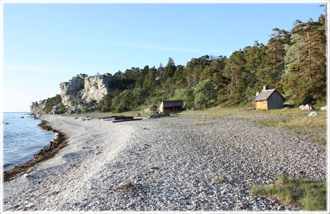 Sigsarve strand p nordvstra Gotland