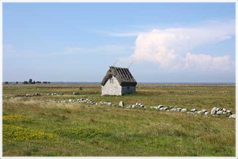 Gotland, Faludden fågelskyddsområde - foto: Bernt Enderborg