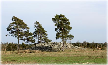 Gotland, Härdarve - foto: Bernt Enderborg
