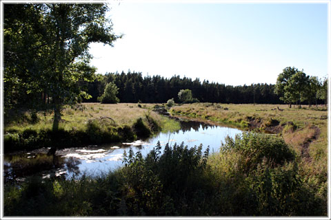 Ett vattendrag i Viklau