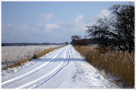 Gotland, Vinter i världens vackraste land - foto: Bernt Enderborg