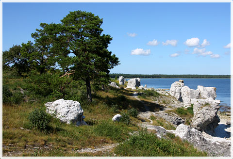 Gotland, Gotland självsnyggt - foto: Bernt Enderborg