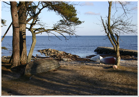 Gotland, Vackert så - foto: Bernt Enderborg
