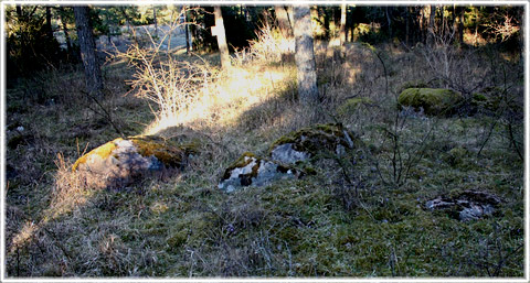 Stensättning från bronsåldern i När socken