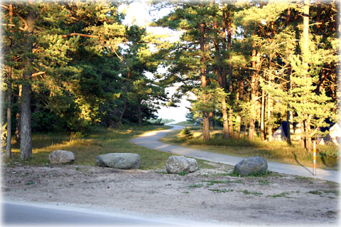 Gotland, Med solen i ryggen - foto: Bernt Enderborg