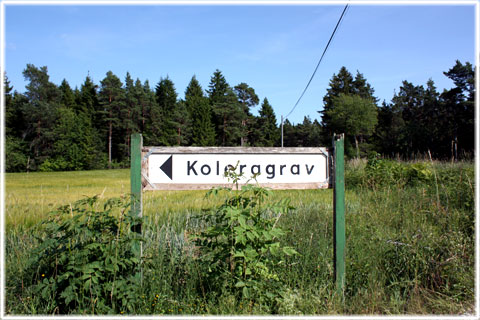 Gotland, Koleragraven vid Kajlungs - foto: Bernt Enderborg