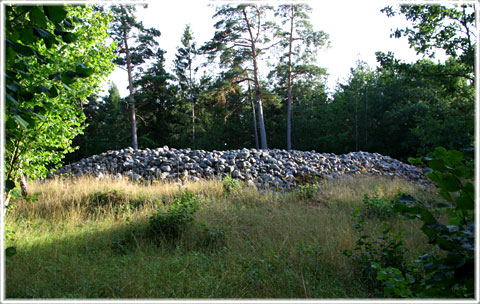 Gotland, Hägroir, Högrör stenröse i Sanda - foto: Bernt Enderborg