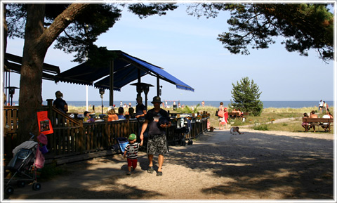 Bild från Ljugarns strand, foto Bernt Enderborg