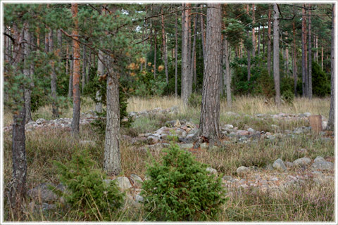 Stensättningar, Liffride, Alskog socken