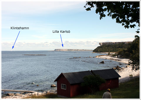 Gotland, Stora Karlsö - en utflykt 12/9-2012 - foto: Bernt Enderborg